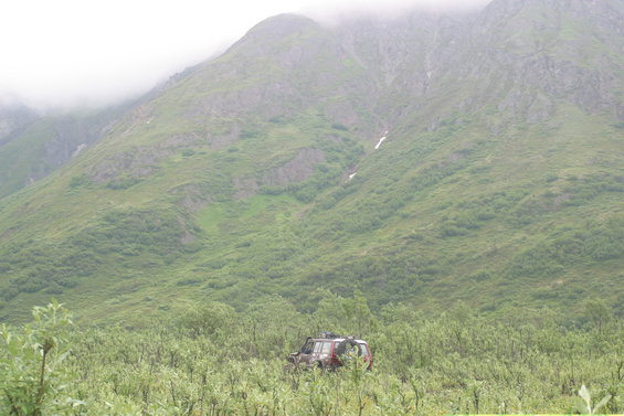 Red SUV parked in a field of green brush with mountains in the background