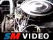 1989 Ford Mustang - See the engine run.