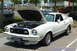 1978 Ford Mustang II - A white 1976 Ford Mustang II Cobra with blue racing stripes and its hood open is parked in a lot.