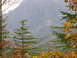 1990 Ford Bronco - A misty mountain range is visible behind a foreground of trees with autumn foliage.