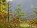 1990 Ford Bronco - Autumn foliage and evergreen trees create a natural landscape scene with distant mountains.