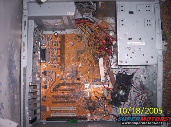 1_0321.jpg Topographical view, and yes, that's peanut butter (found a jar of peanut butter in that cedar tree behind me.............-WTF?-)