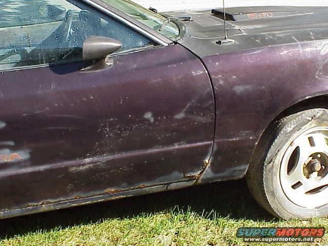 Purple car door and fender with rust and paint damage, side view