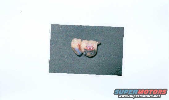 jeeptoothphoto.jpg Pic of my jeep, stream and tree put on my tooth