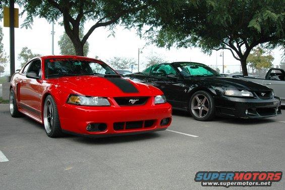 Red Ford Mustang with black stripe parked next to a black Ford Mustang
