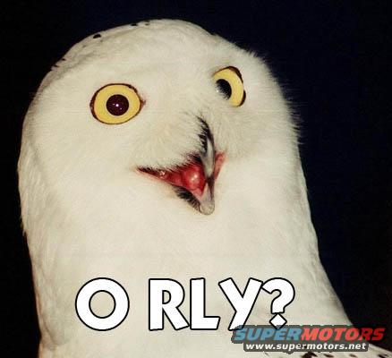 orly.jpg 