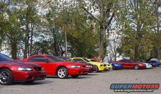 mustangs-rear-row.jpg 