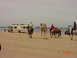 DSC01636.JPG
