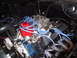 P1100002.JPG