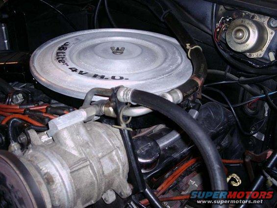 351ho-pic.jpg 