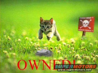 Kitten mid-air over a mine in a grassy field with a danger sign