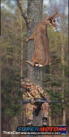Deer carcass hanging from a tree trunk, hunter in camouflage with rifle sits in a tree stand below