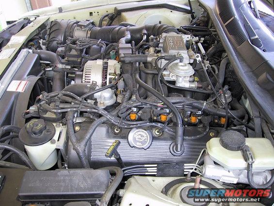 Engine bay with visible "4.6L DOHC" marking