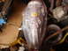 1981 Ford Mustang - A TCI transmission part is shown in plastic wrap, with other automotive parts and tools in the background.