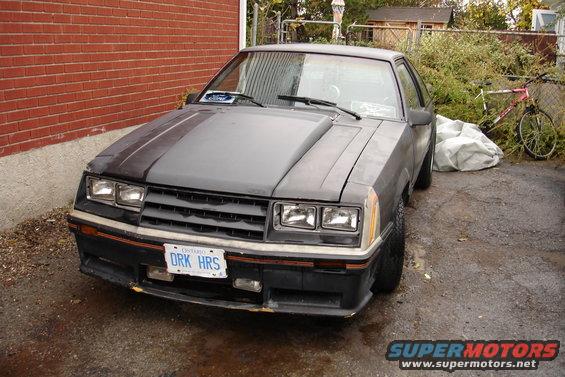 Front view of a dark gray 1981 Ford Mustang with a hood scoop and Ontario license plate DRK HRS