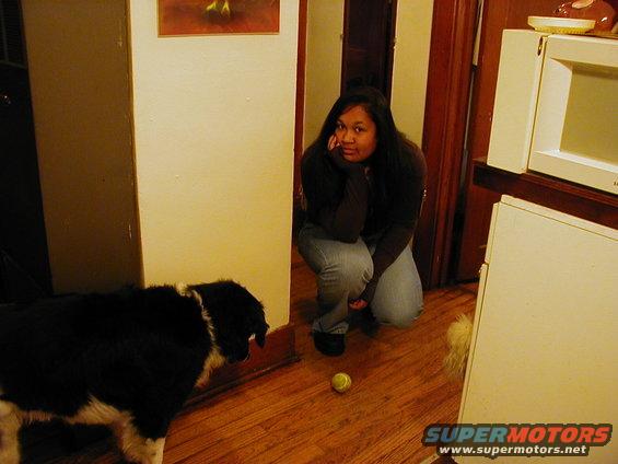 Woman crouching in a room, looking at a dog. A tennis ball is on the floor