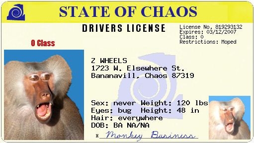 Drivers license from State of Chaos with baboon photo and details