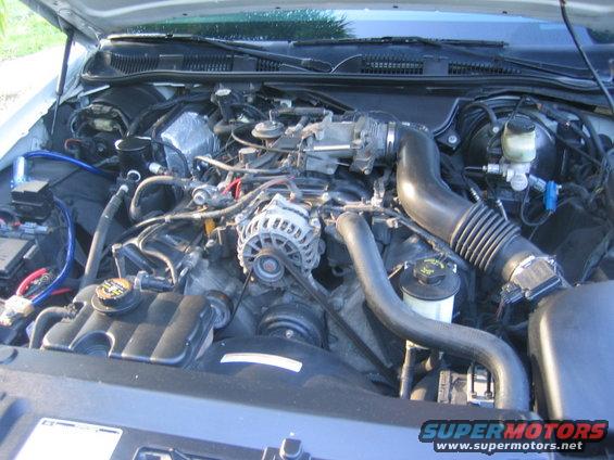 Engine Pic 1. I didnt clean it too good beacuse I didnt want to hurt anything electrical.