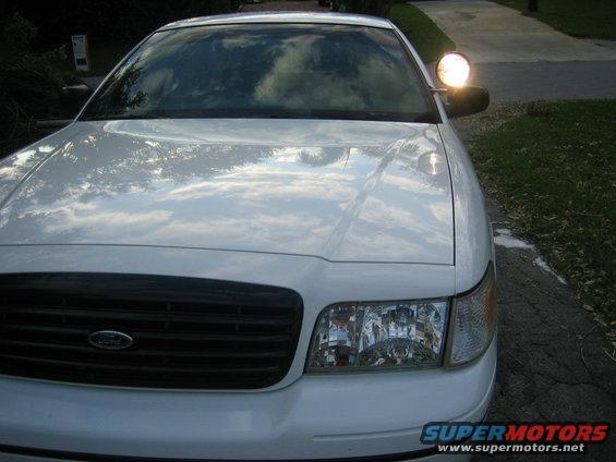 Spotlight on
