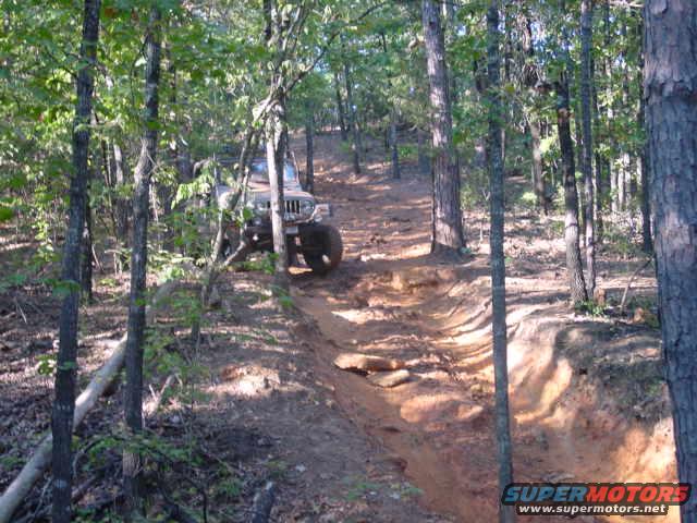 3q-front view of a 2004 Jeep Wrangler on a wooded dirt trail