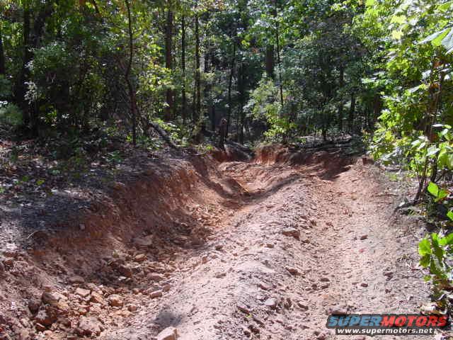 Dirt trail with ruts and rocks in a wooded area