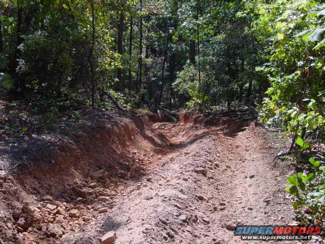 Dirt road through a forest with tire tracks and eroded banks