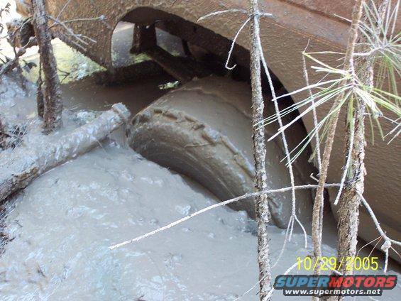 Muddy tire of a vehicle stuck in a muddy ditch with branches around