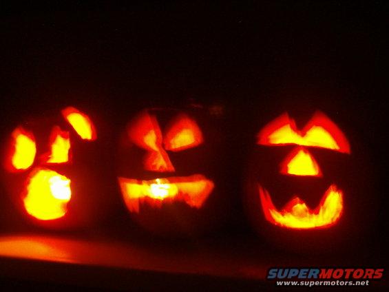 hpim0911.jpg Normal pumkin