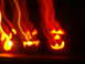 1985 Ford Bronco - wicked pumkins
