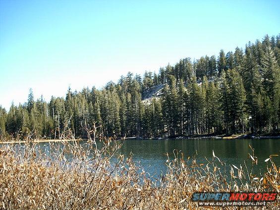 Lake and forest with dry brush in the foreground. Watermark reads SUPERMOTORS.NET