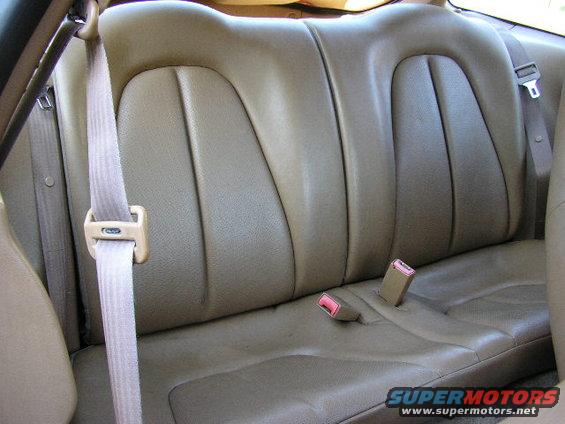backseats.jpg 