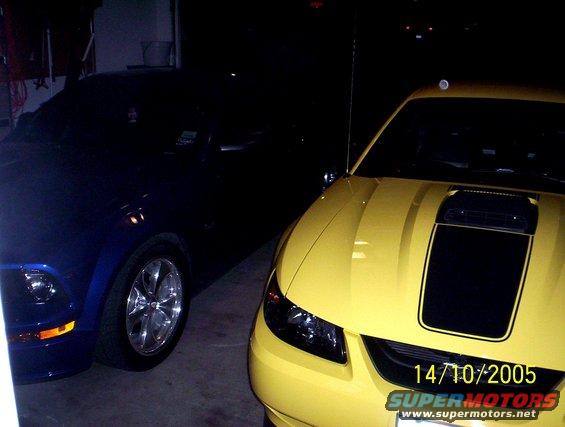 Yellow Mustang with black stripes on hood, blue Mustang next to it