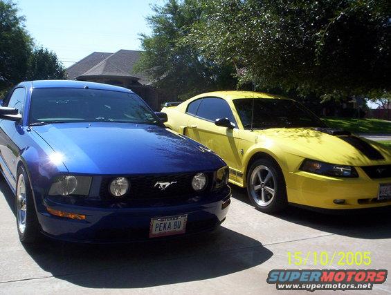 Siblings