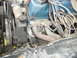 1979 Ford Bronco - Here is the headers and sagina power steering pump.