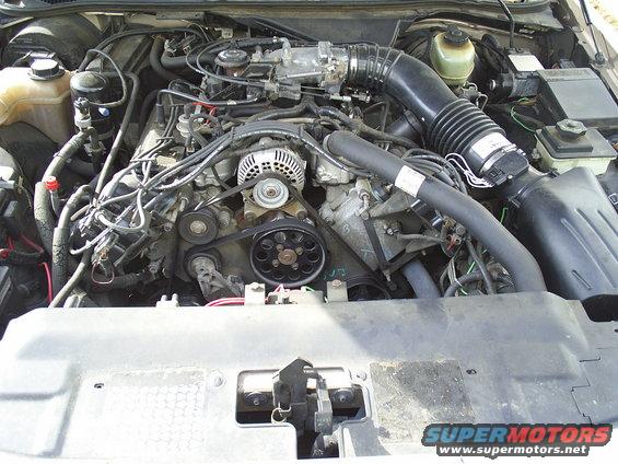 car engine bay with hoses and belts visible
