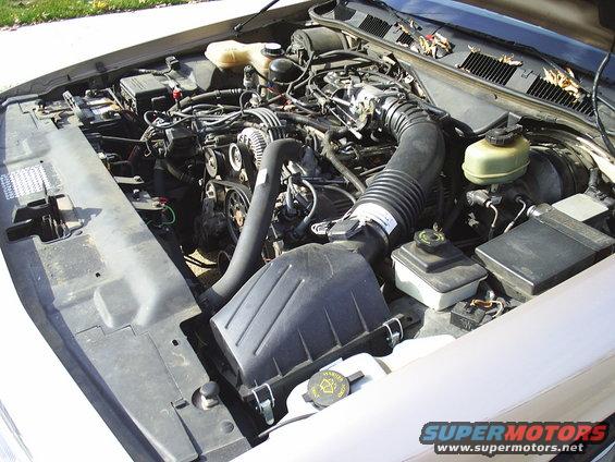 1993 Ford Crown Victoria engine bay with V8 engine, air intake, and fluid reservoirs visible