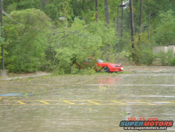 dsc00473.jpg Only Car Left in the Parking Lot. Guess Rita Didnt Like Ricers Either!!!!!