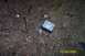 1998 Ford Crown Victoria - Car stereo and amplifier are visible on the ground, dated 11/04/2005.