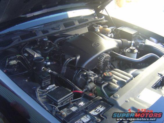 Engine bay of a 1999 Ford Crown Victoria, showing the V8 engine and battery