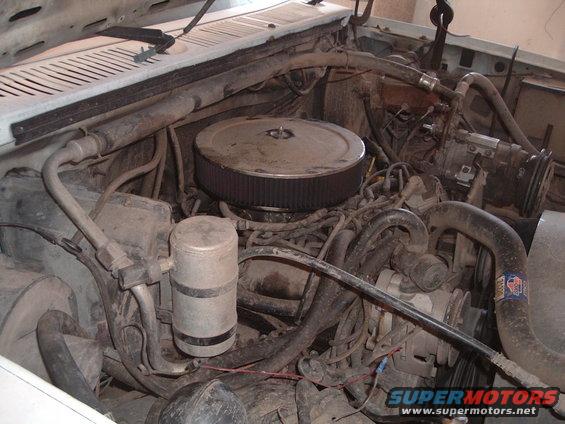 Engine bay with air cleaner, hoses, and engine components visible