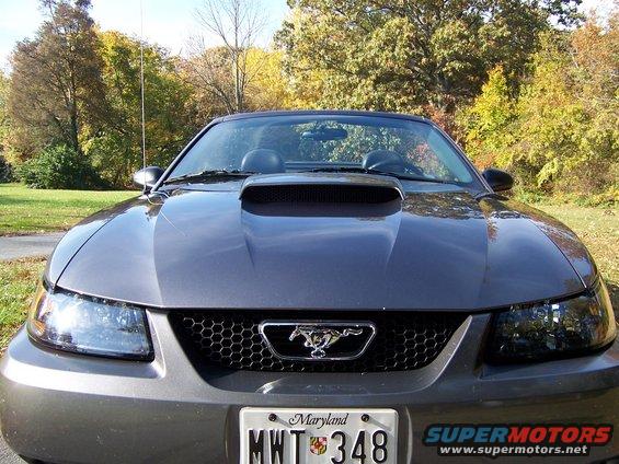 Gray 2004 Ford Mustang front grille with pony emblem and hood scoop. Maryland license plate MWT 348