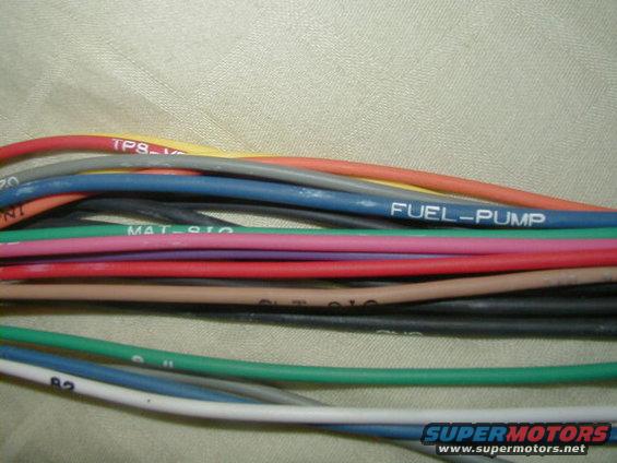 Bundle of colored automotive wires with labels like FUEL-PUMP and TPS