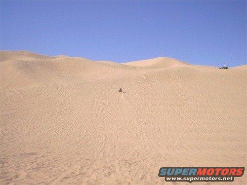 web-im001463.jpg Comp Hill looking up from the bottom. 