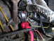 1994 Ford Bronco - Close-up of an alternator and associated wiring, showing a red battery terminal and yellow wires.