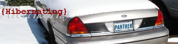 banner4.jpg 