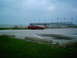 1993 Ford Probe photo