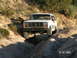 1983 Ford Bronco