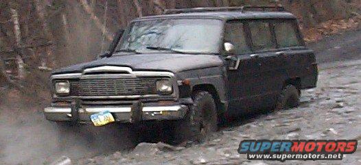 waggy3.jpg kinik 2005