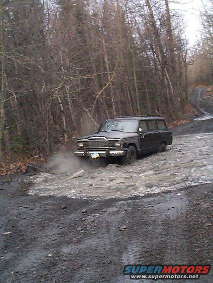 waggy3.1.jpg kinik splash 2005