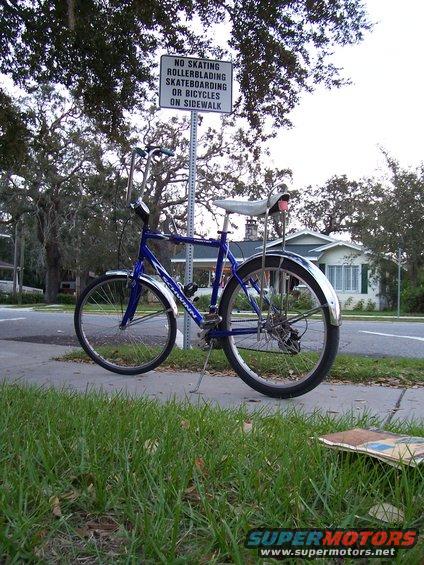 owned.jpg I saw a "No Bicycles on the Sidewalk" sign and just couldn't resist taking the shot.